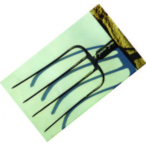 ΠΕΙΡΟΥΝΕΣ ΚΙΝΑΣ Α’